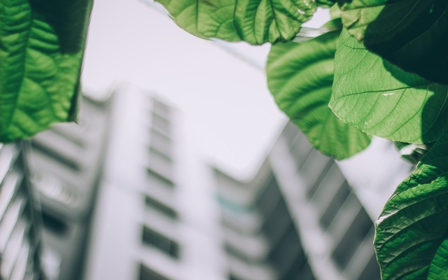 Lån til grønne og bæredygtige projekter