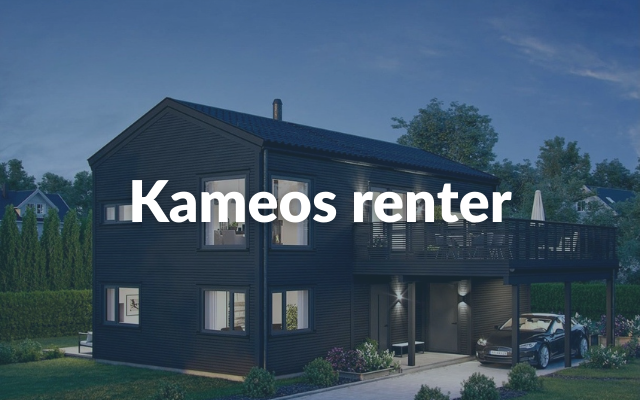 Kameos Renter